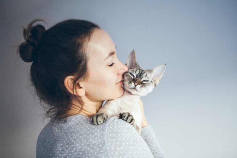 هل العيش مع القطط مفيد لصحتك؟