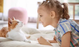 هل تستطيع القطط فهم لغة البشر